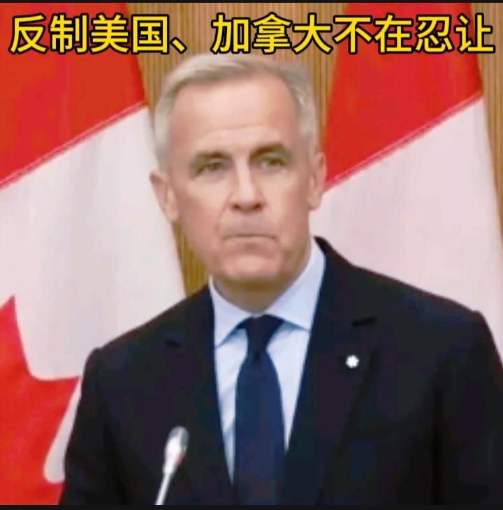 首先说一下规则方面：动摇WTO与区域协定根基，侵蚀WTO规则：美国单边关税及加拿
