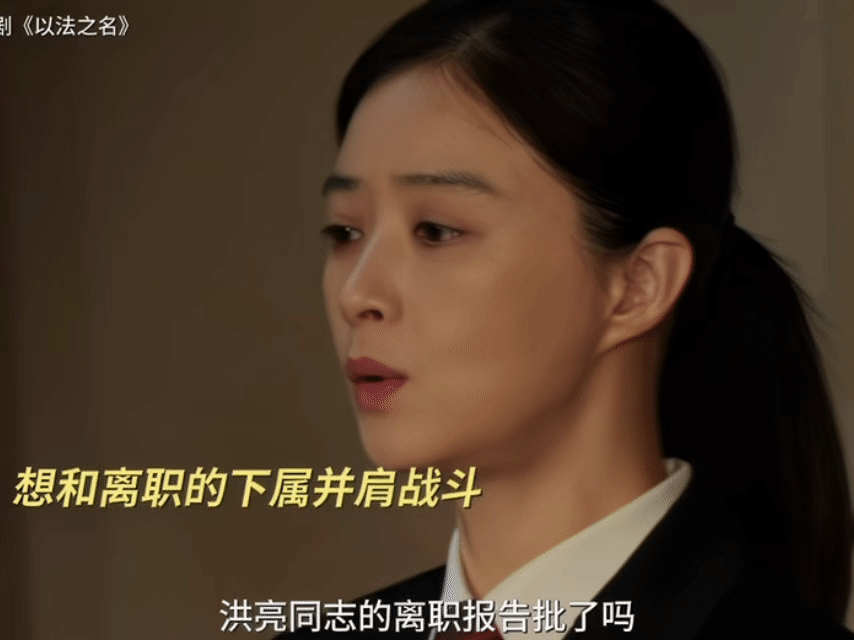 郑雅萍回来了 郑雅萍带着锋芒杀回来了，紧盯东平矿业案线索，新专案组迅速出击，她浑