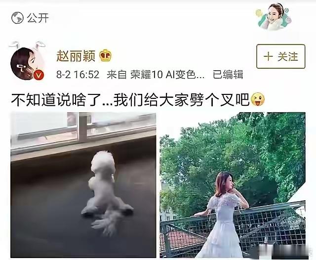 这绝对是赵丽颖的黑历史。“不知道说啥了…我们给大家劈个叉吧”怀孕了，又不好承认，