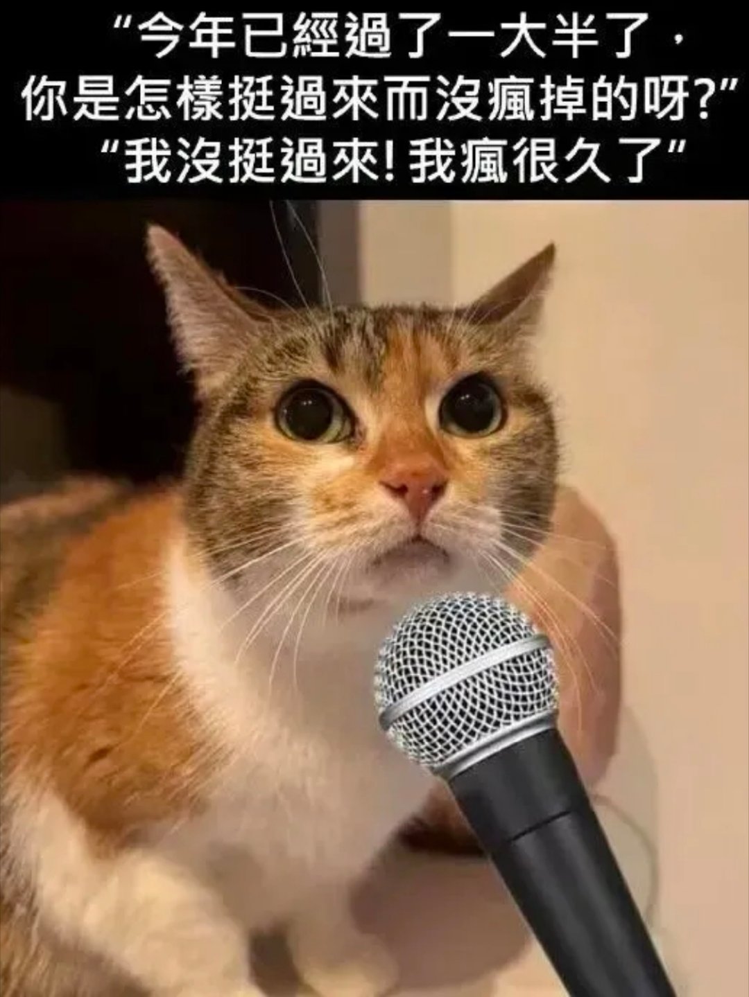 别问，全靠硬撑+健忘 ​​​