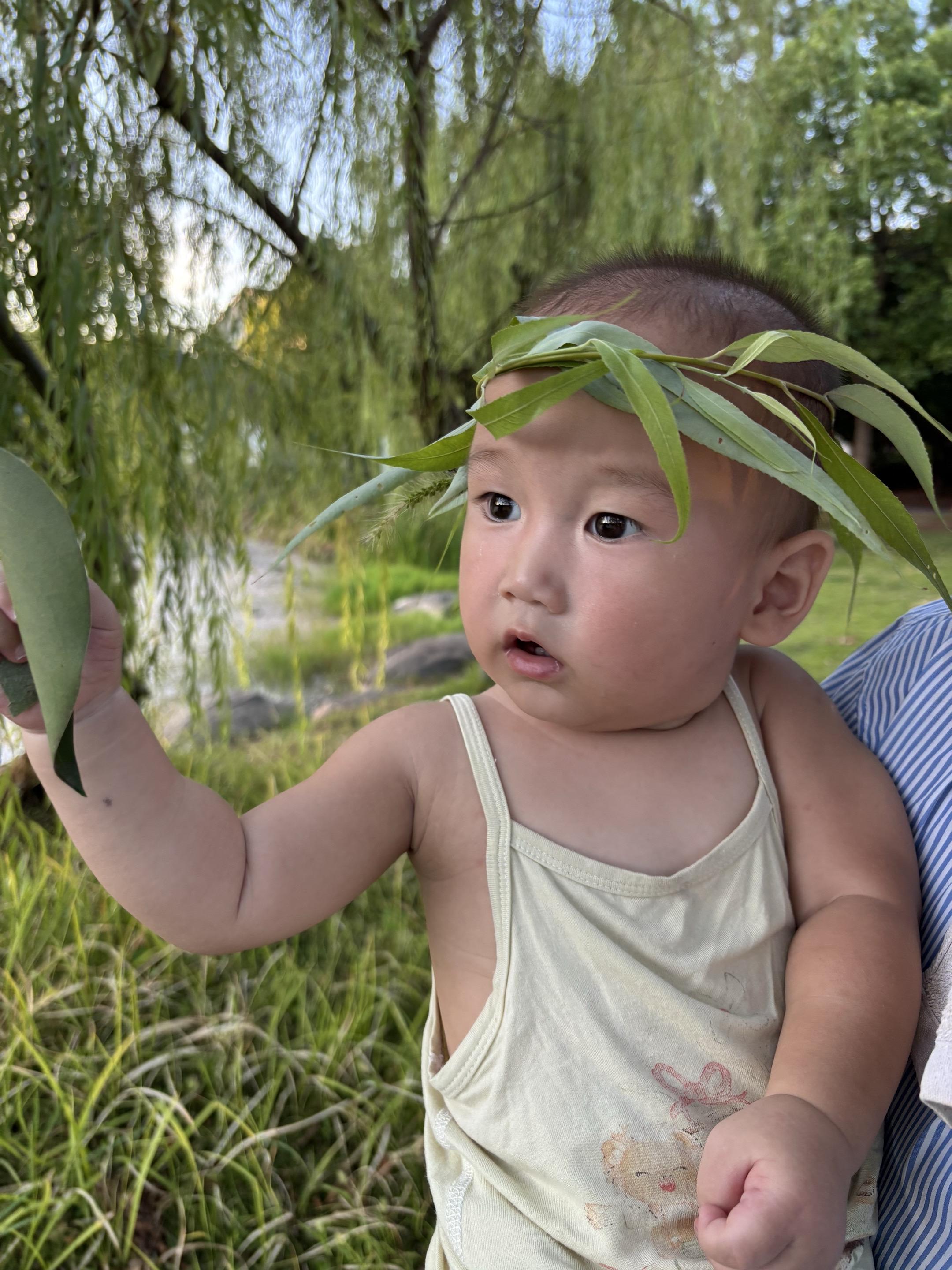 自然生态 呆萌可爱