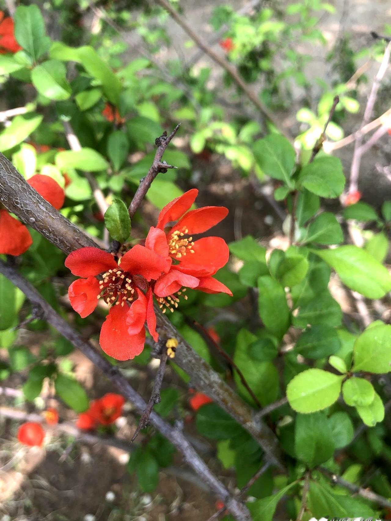 你敢相信吗？
女辅导员比男学生大了整整九岁，这对师生恋最后居然修成了正果！
当年