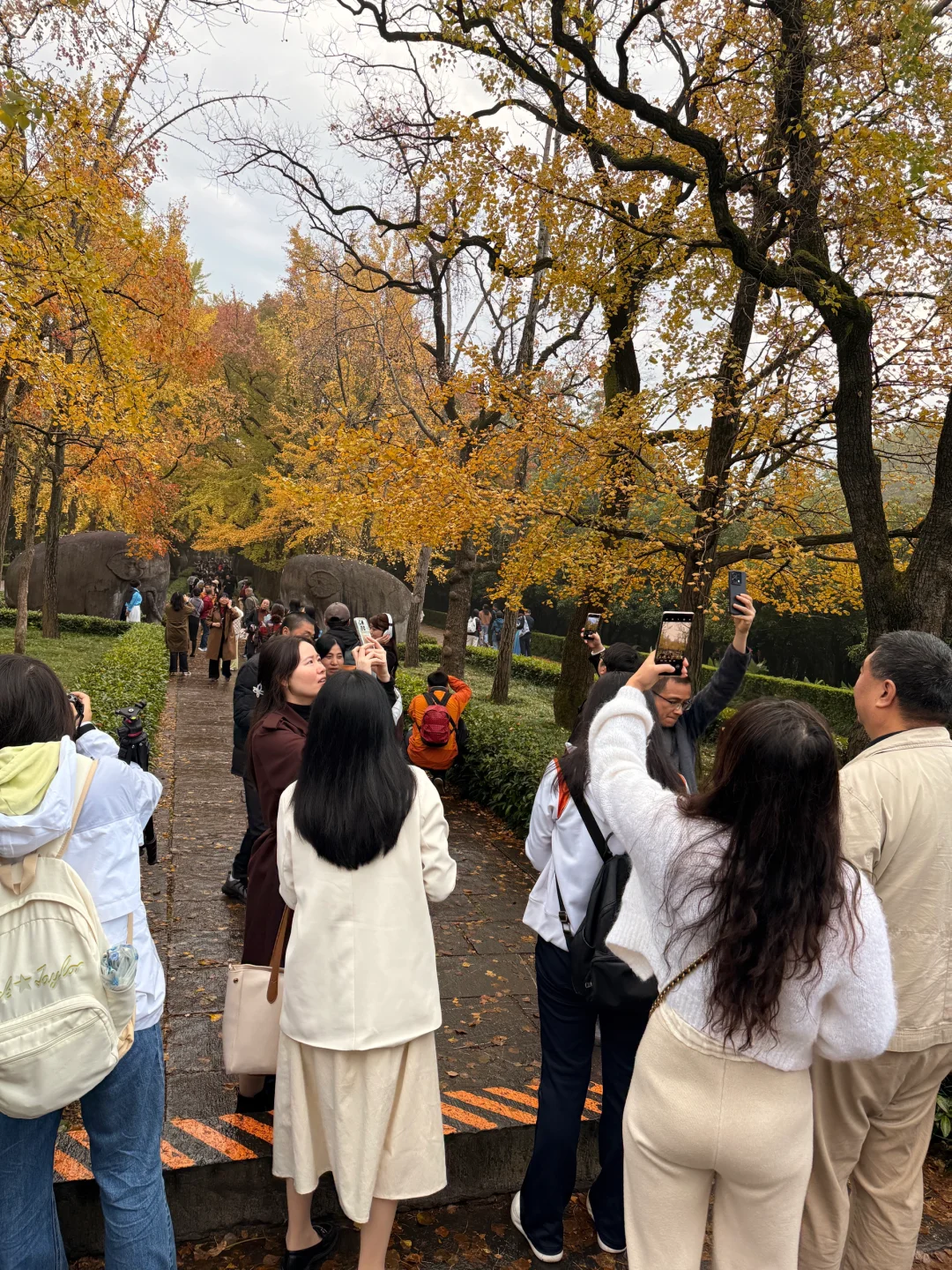 11.10实报！！！石象路🍂