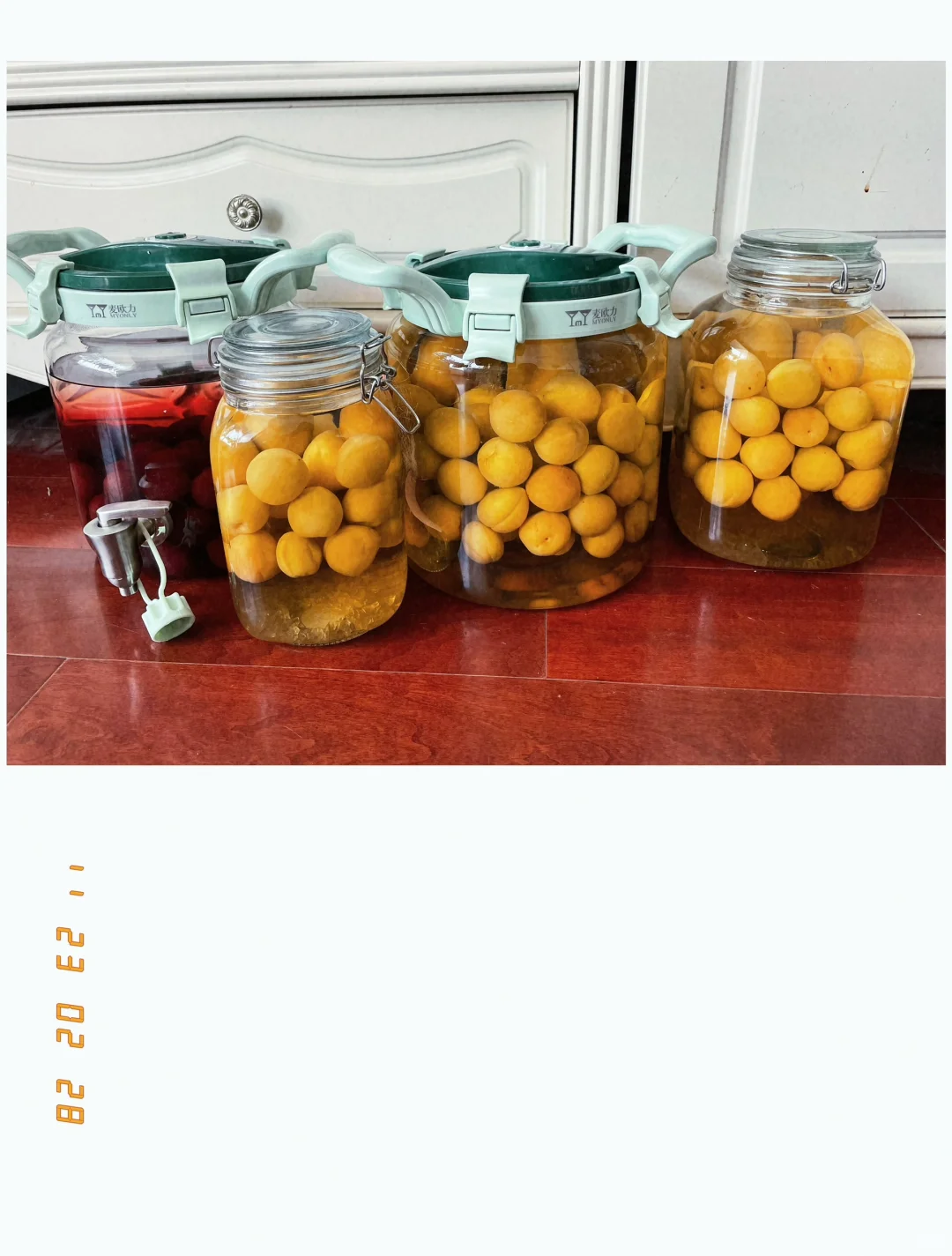 端午安康 今年的酒泡完了🍸