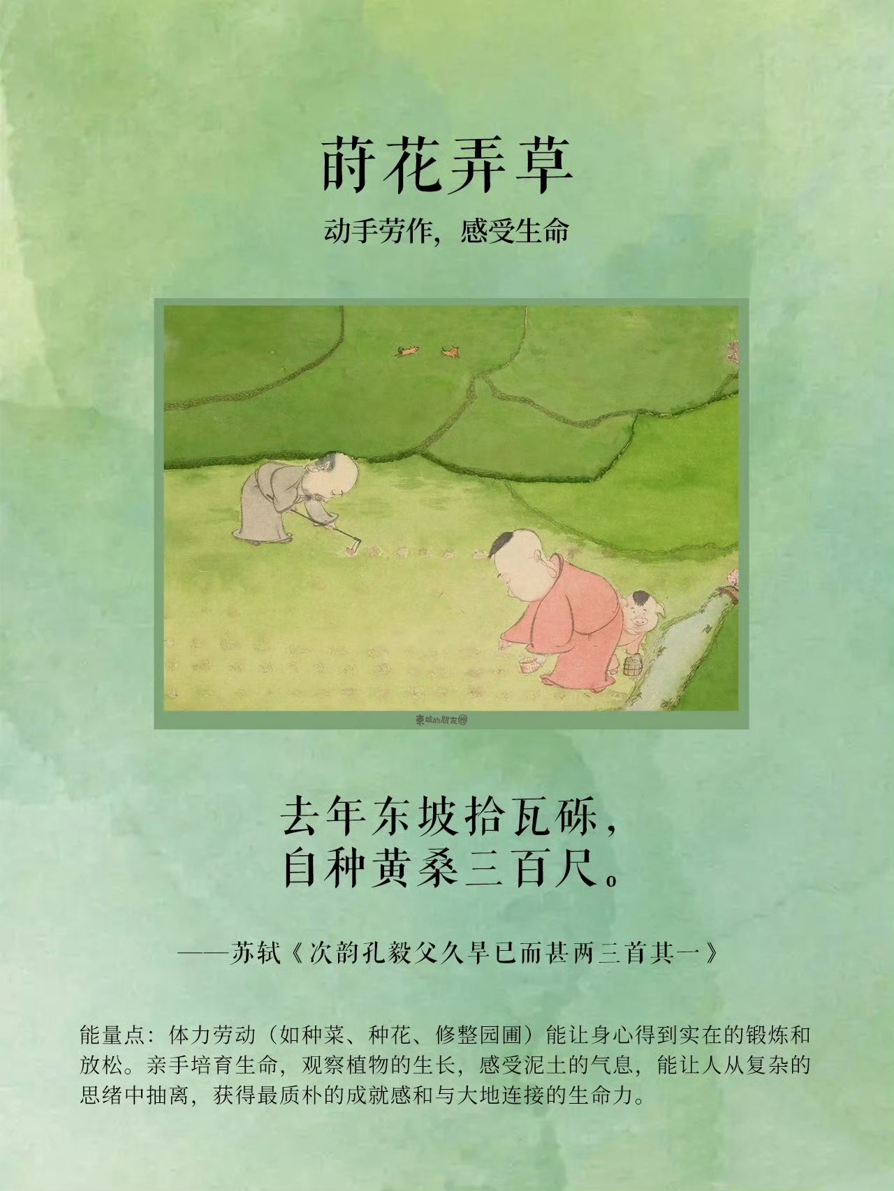 苏东坡如何恢复能量 