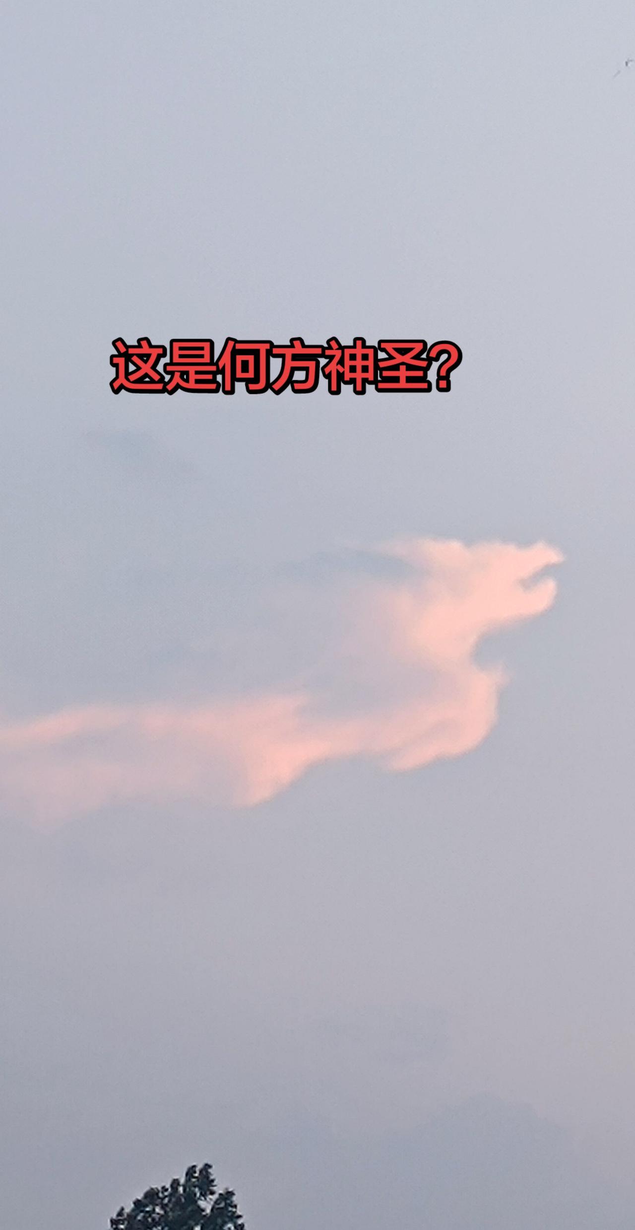 这是何方神圣？