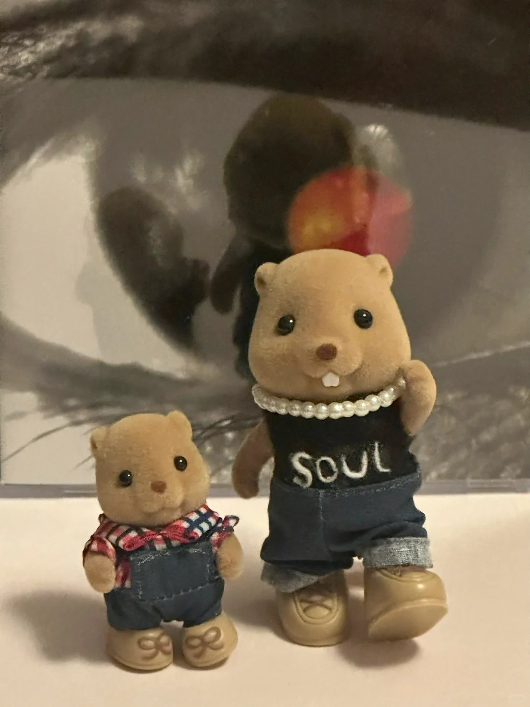 是森贝儿家族之陶喆与bonbon！？