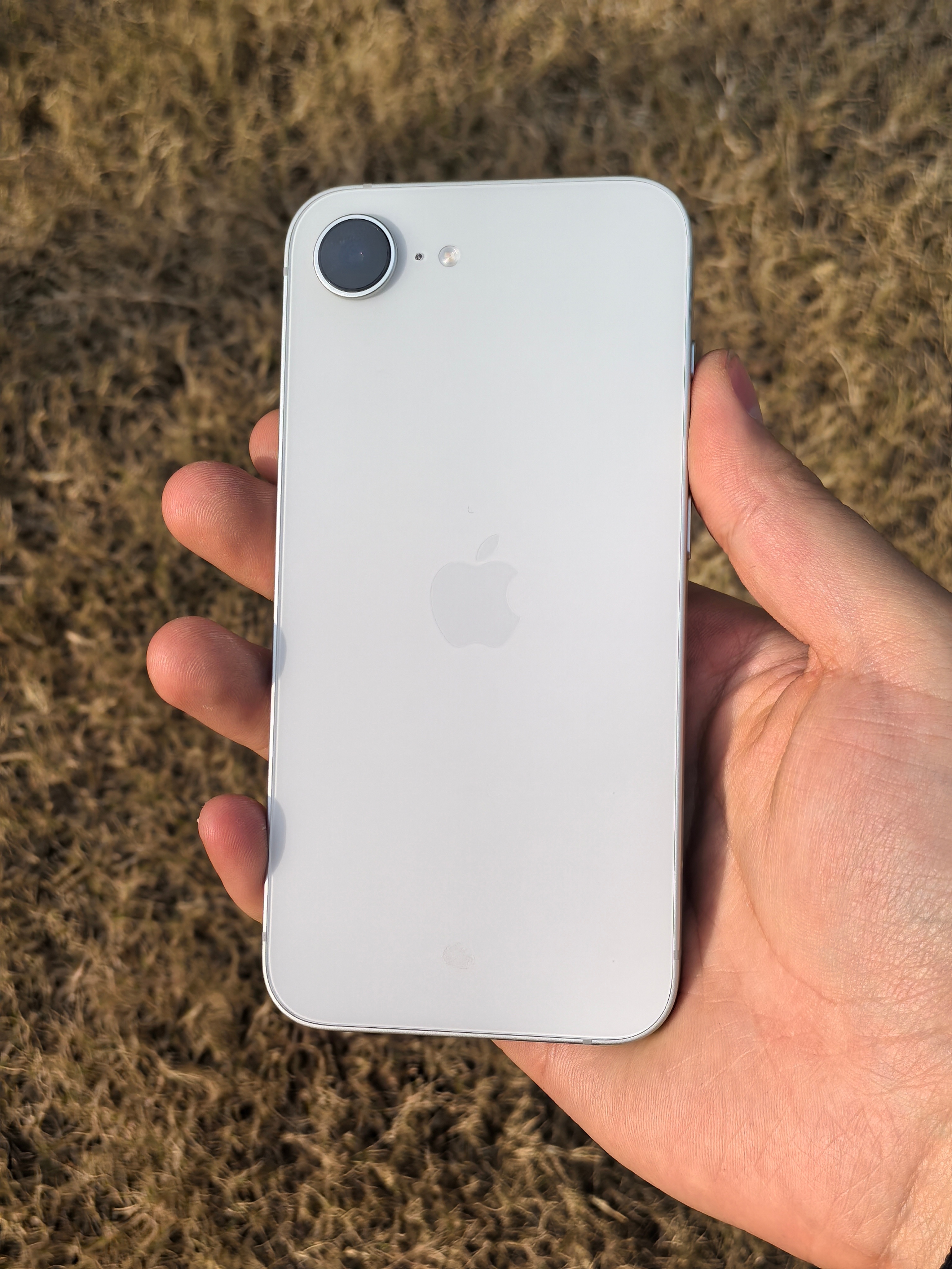 iPhone 16e当日常主力机挺久了，整体还挺合我心意随手拍记录生活质感够用，