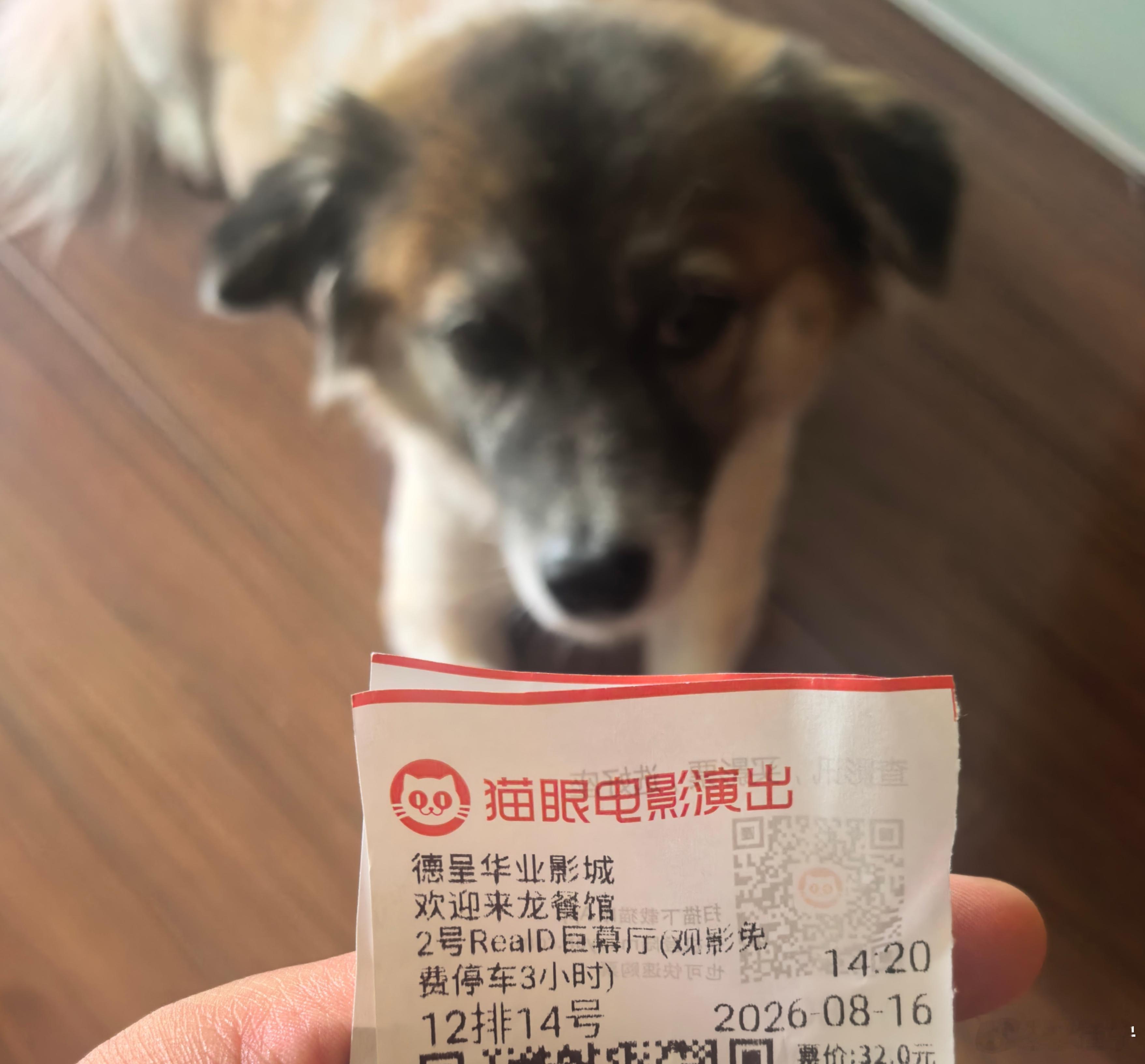 电影票电影票电影欢迎来龙餐馆 沈大厨NB