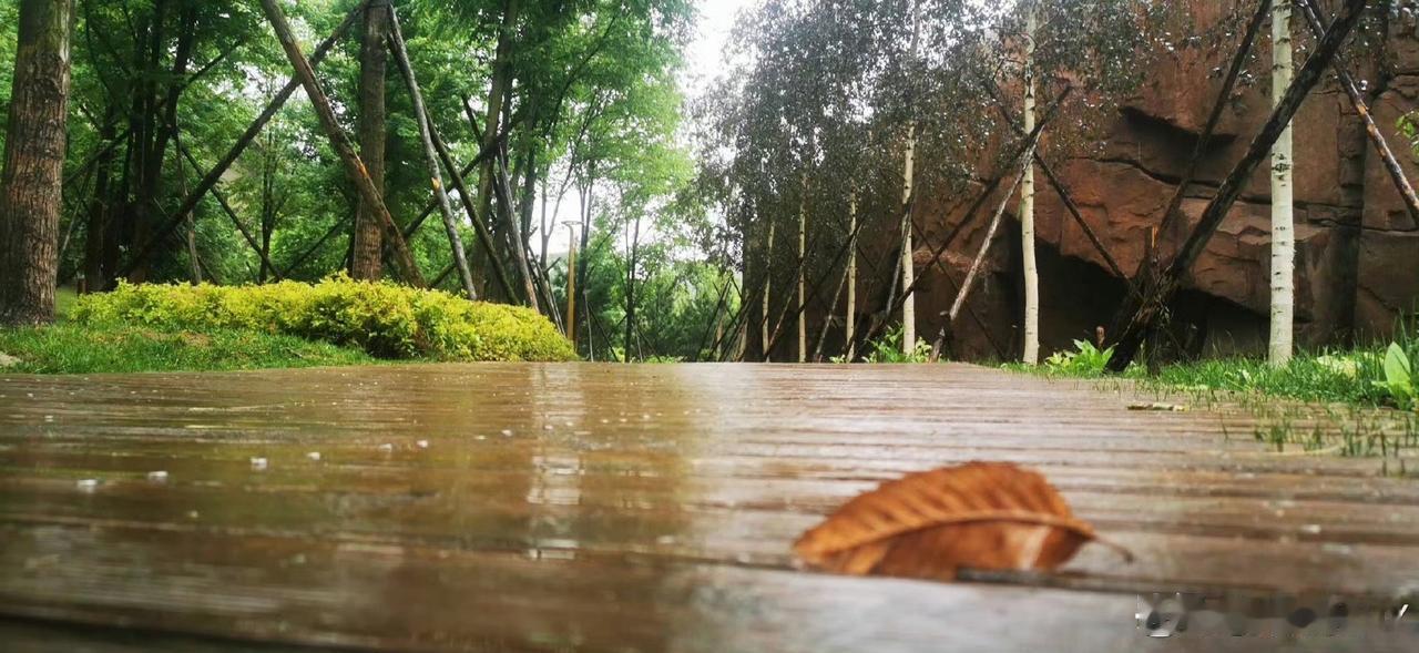 今天在市里的培训会上，经历了一个颇为耐人寻味的场景。

培训内容结束后，老师话锋