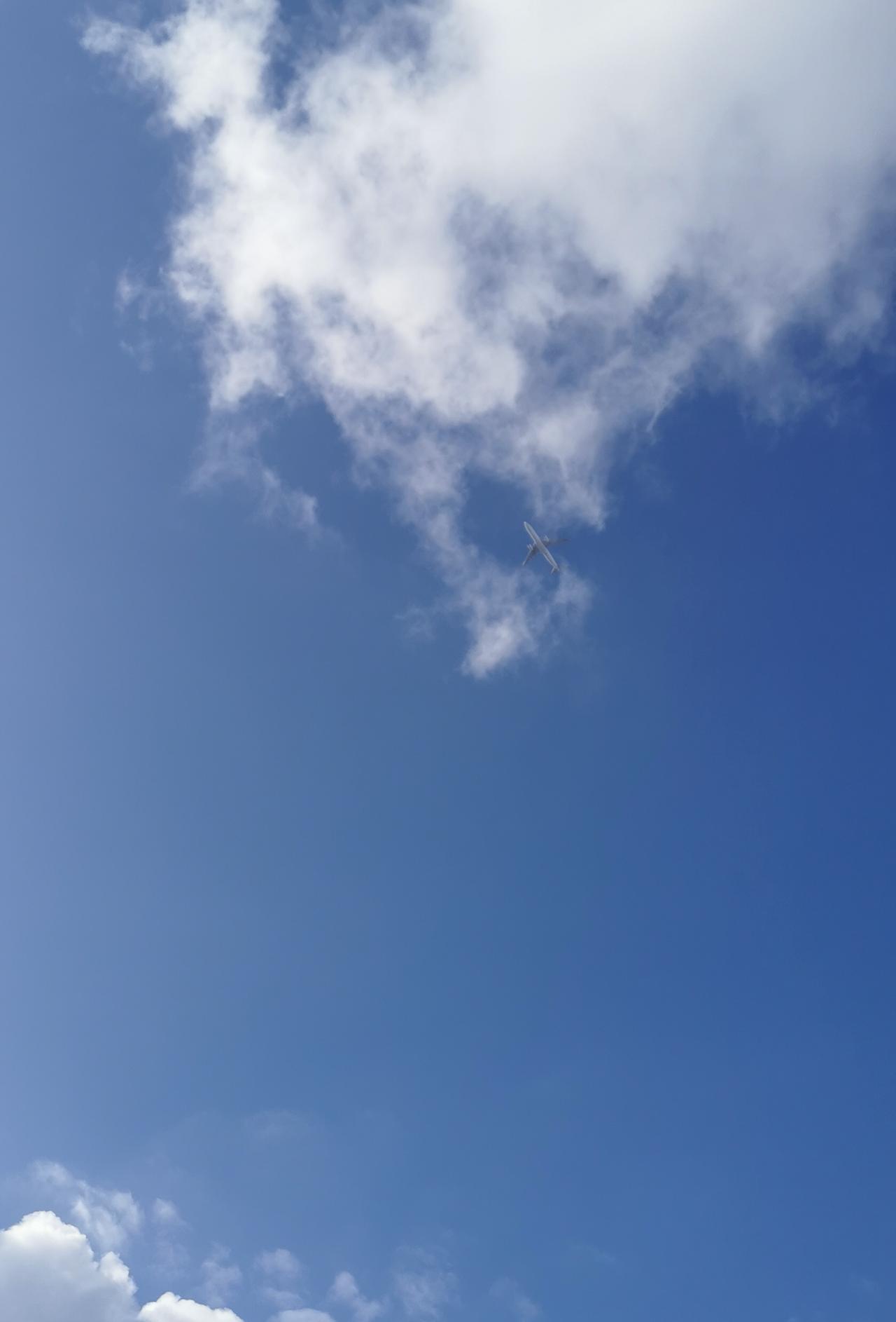 一架客机飞入云端！