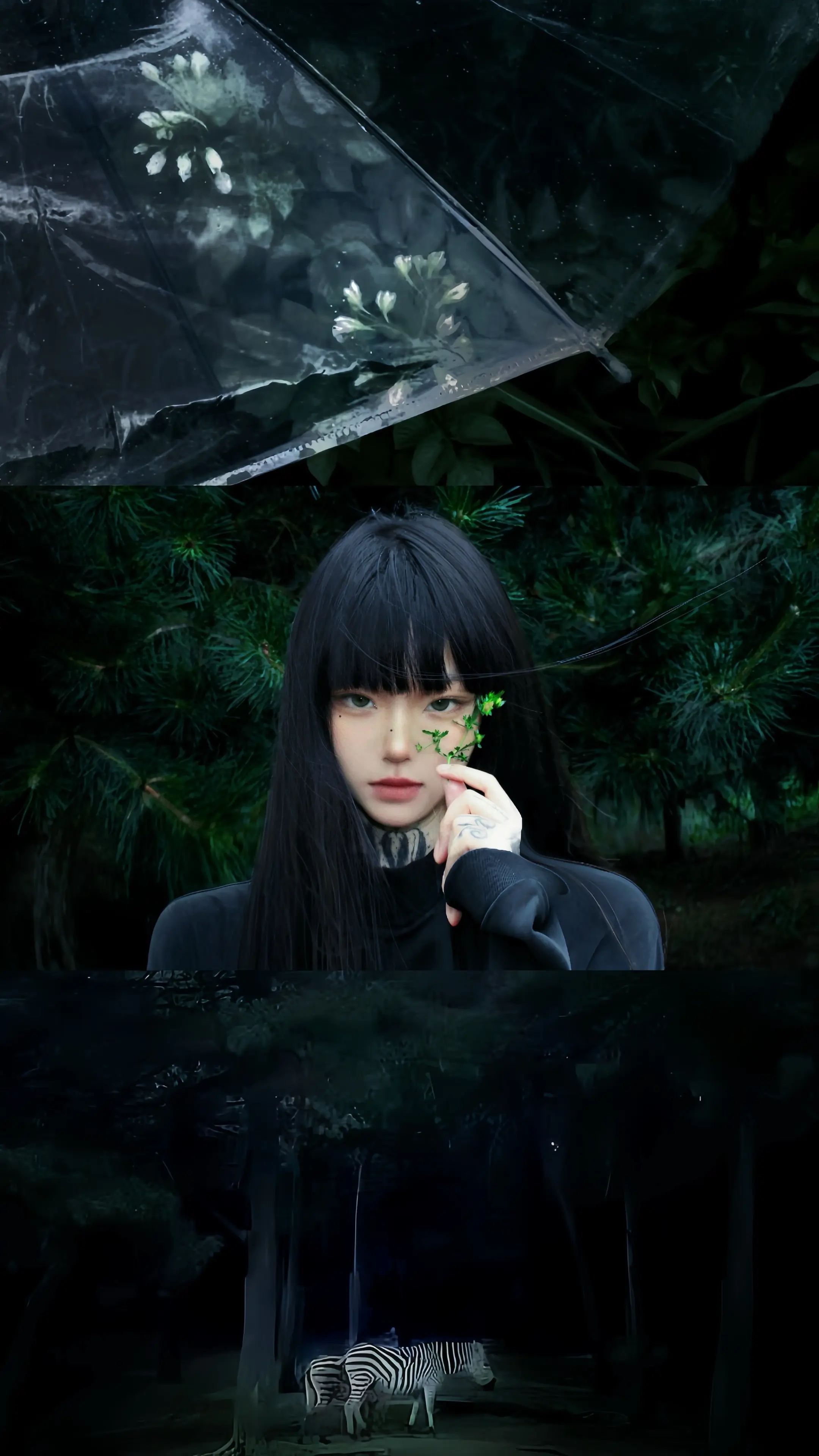 祈尔繁芜胜常春