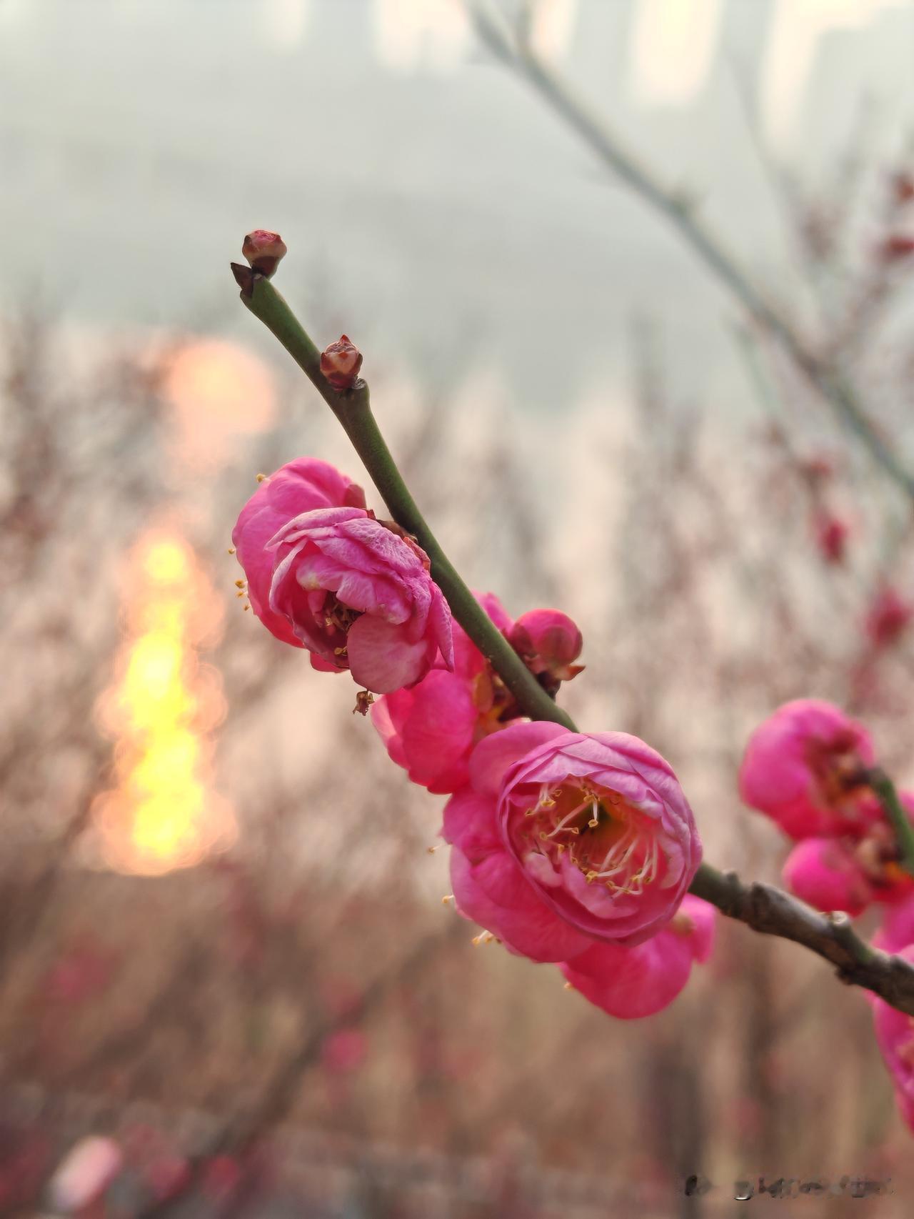 不得不说，头条能人多。有的改衣服的手艺真绝了！有人一下子改三件羽绒服，全是小改大