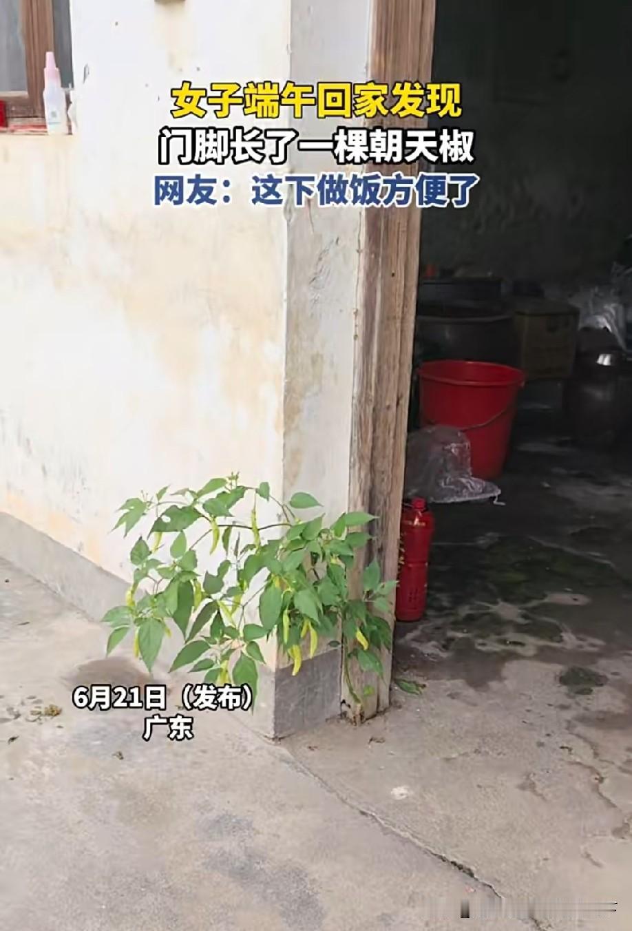 出门就有吃的[偷笑]