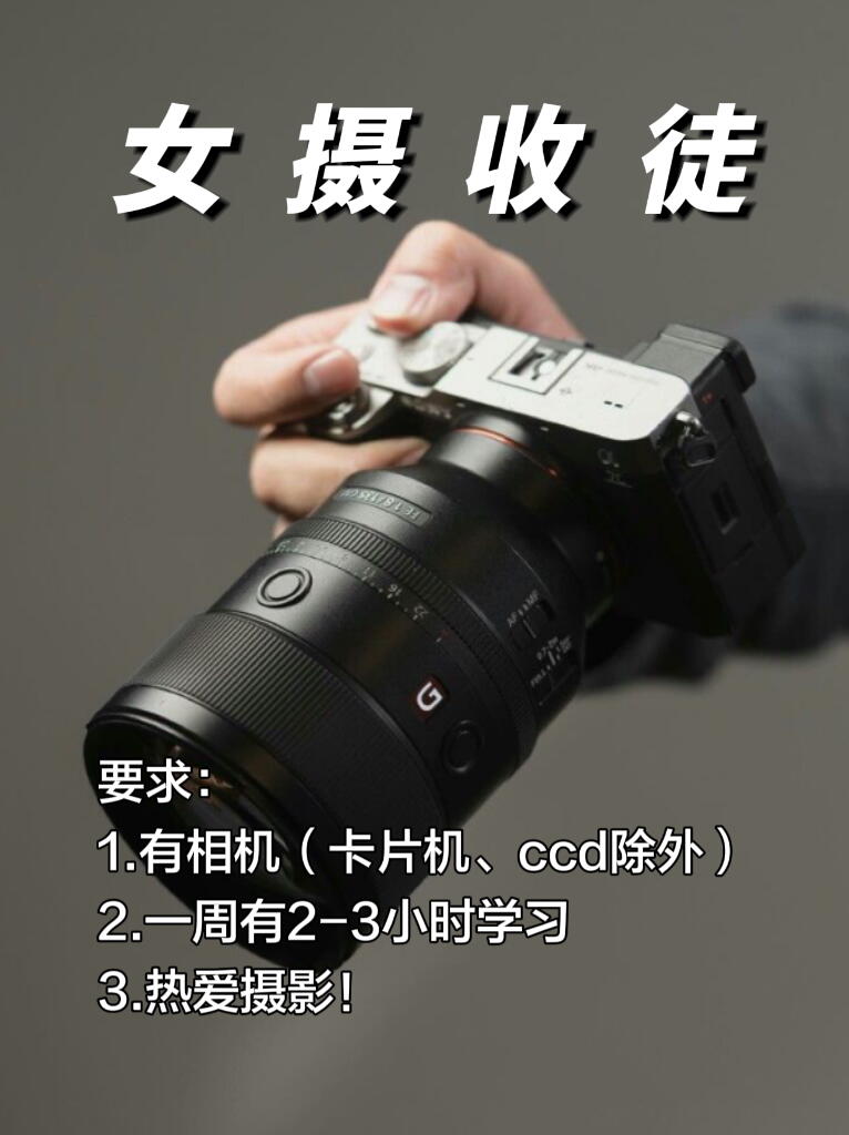 七月底突然很想交人摄影😭