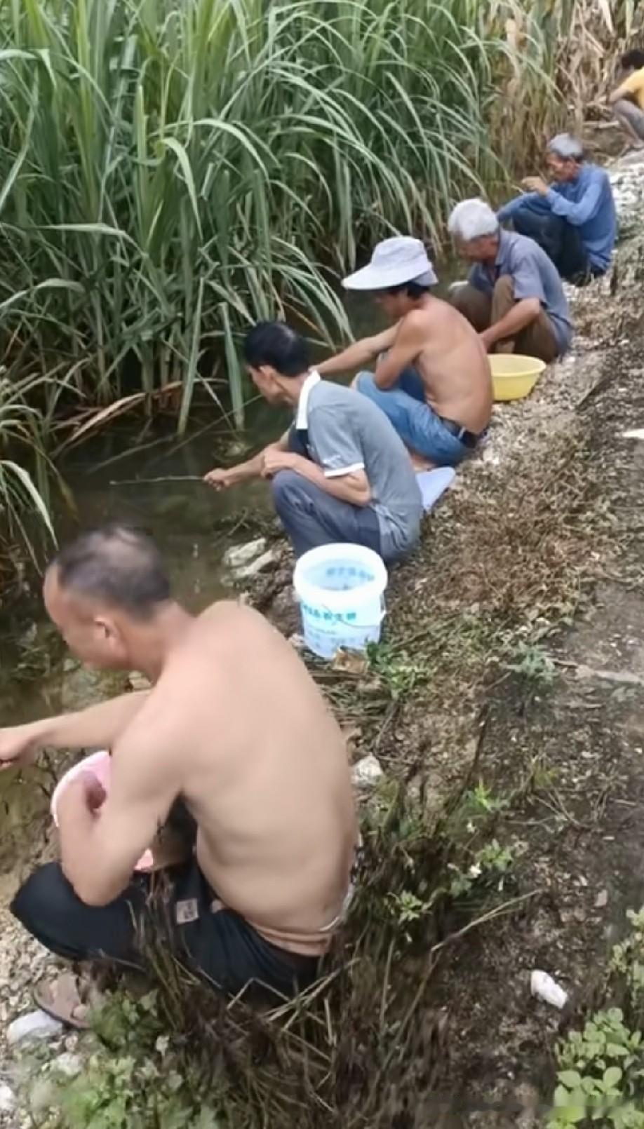 这是钓小龙虾[what]