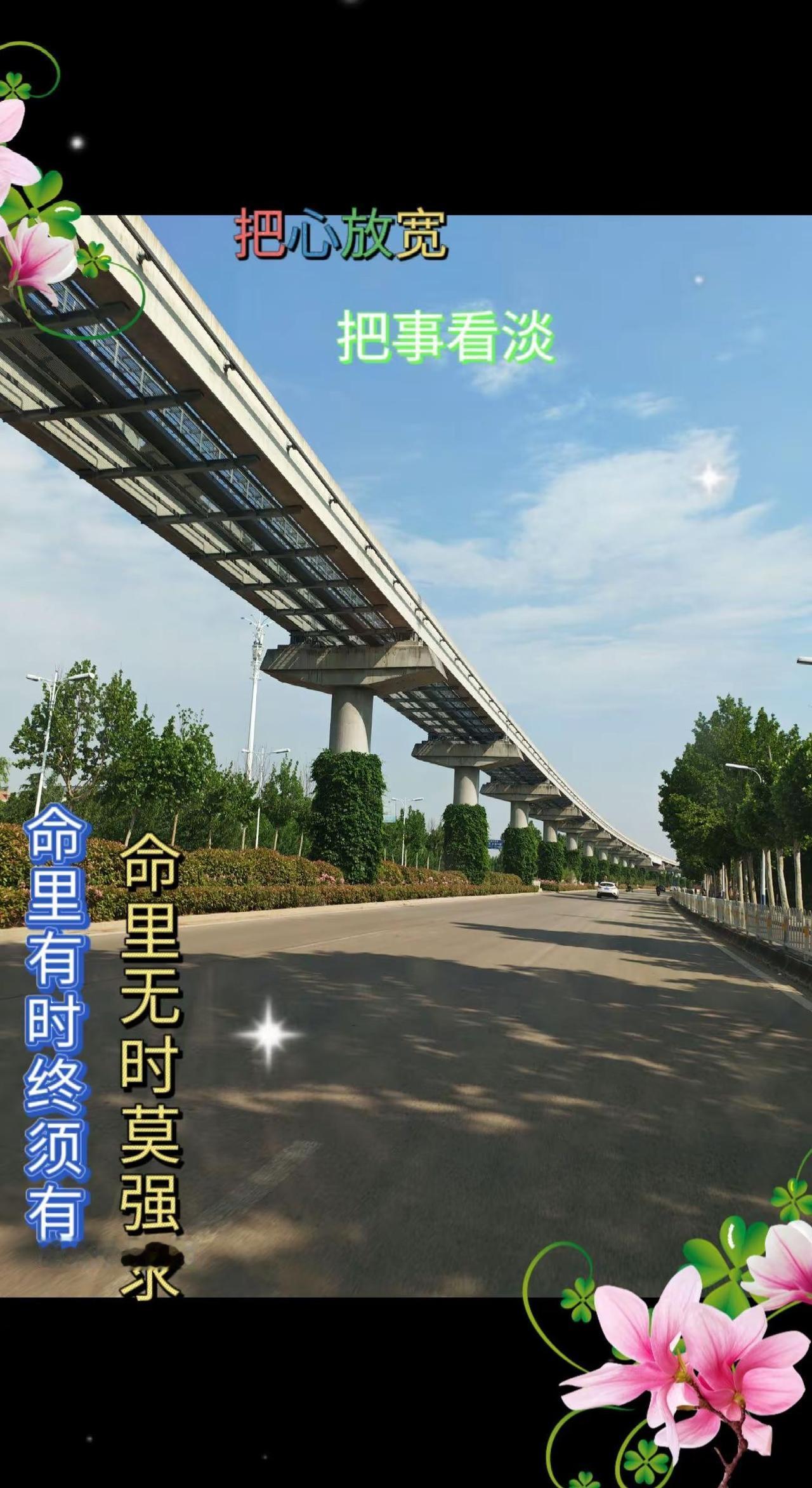 上热门话题🔥 高架桥横跨天际，像一条巨龙守护着这片土地。阳光洒在路面上，仿佛给