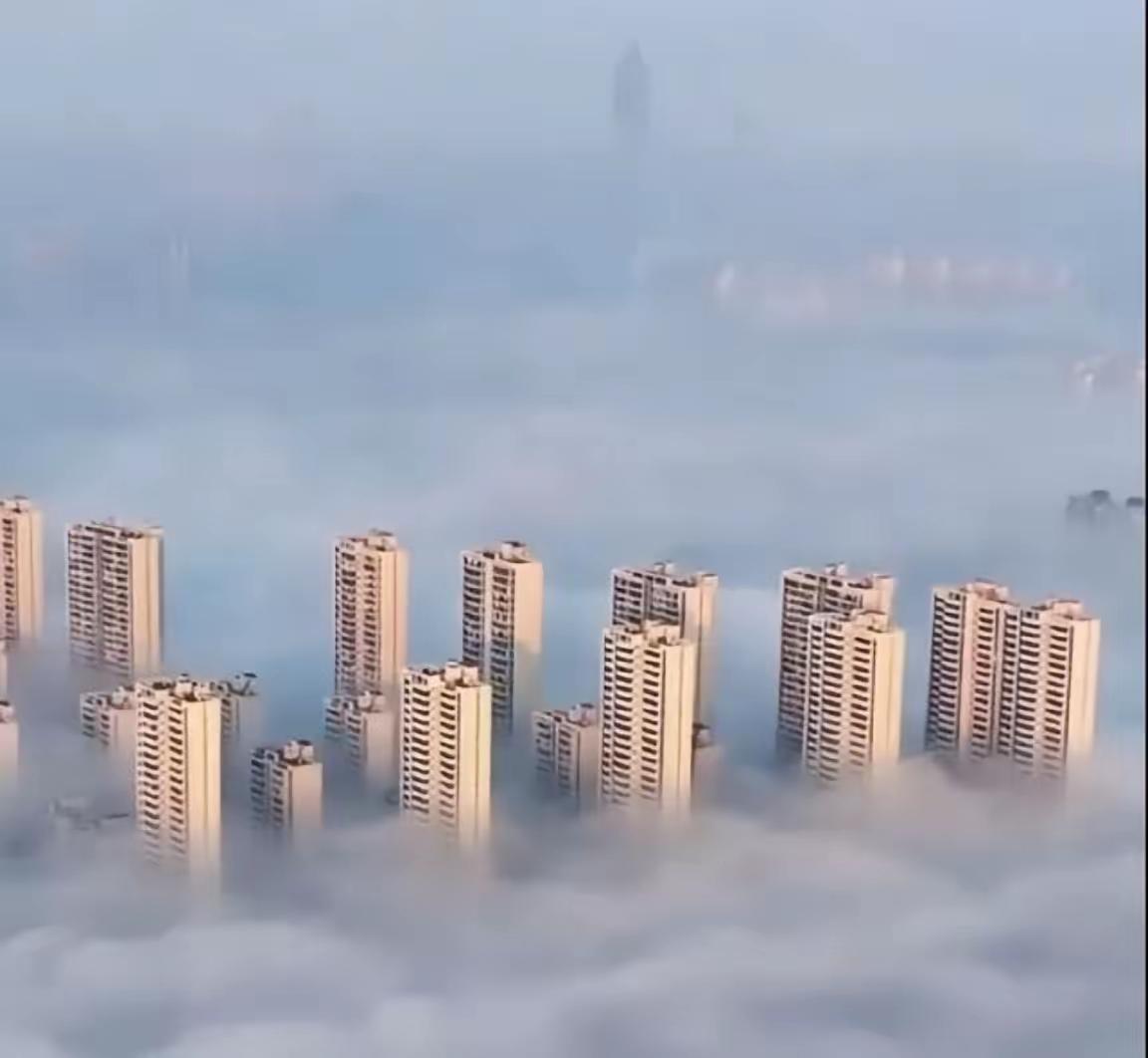 有德国网友说世界上有两个骗子国家，一个是美国，一个是中国。美国称自己是世界上最强