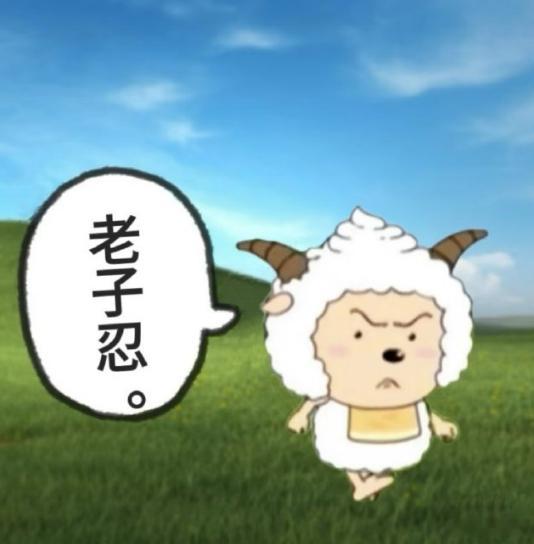 Wenbo笑了，他真的太想打职业了，有的人在世界大赛上瞎打，而有的人把每一把当成