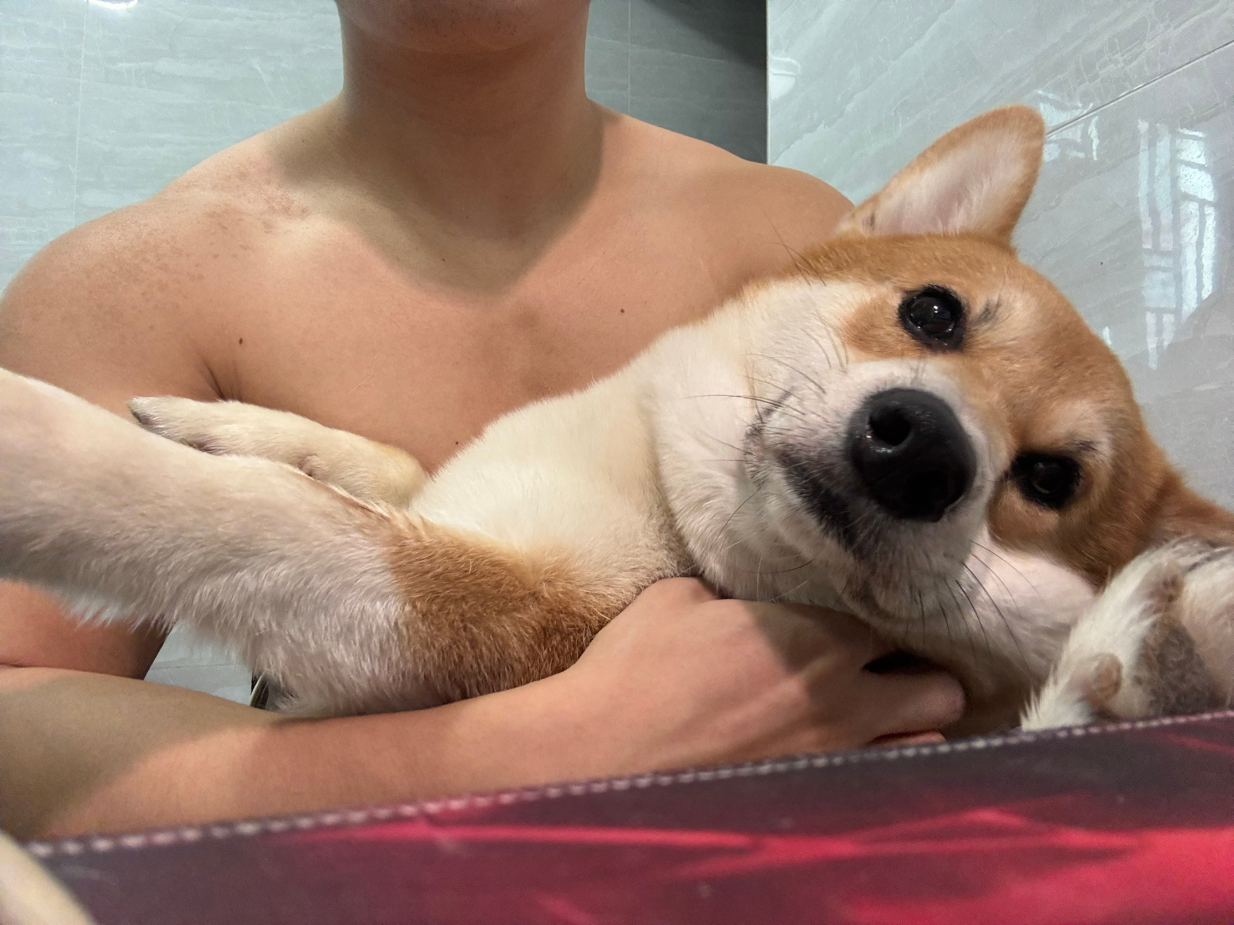 大家好 这是我鹅子