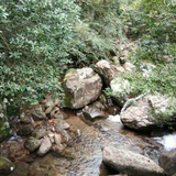 嘻笑热聚体育
