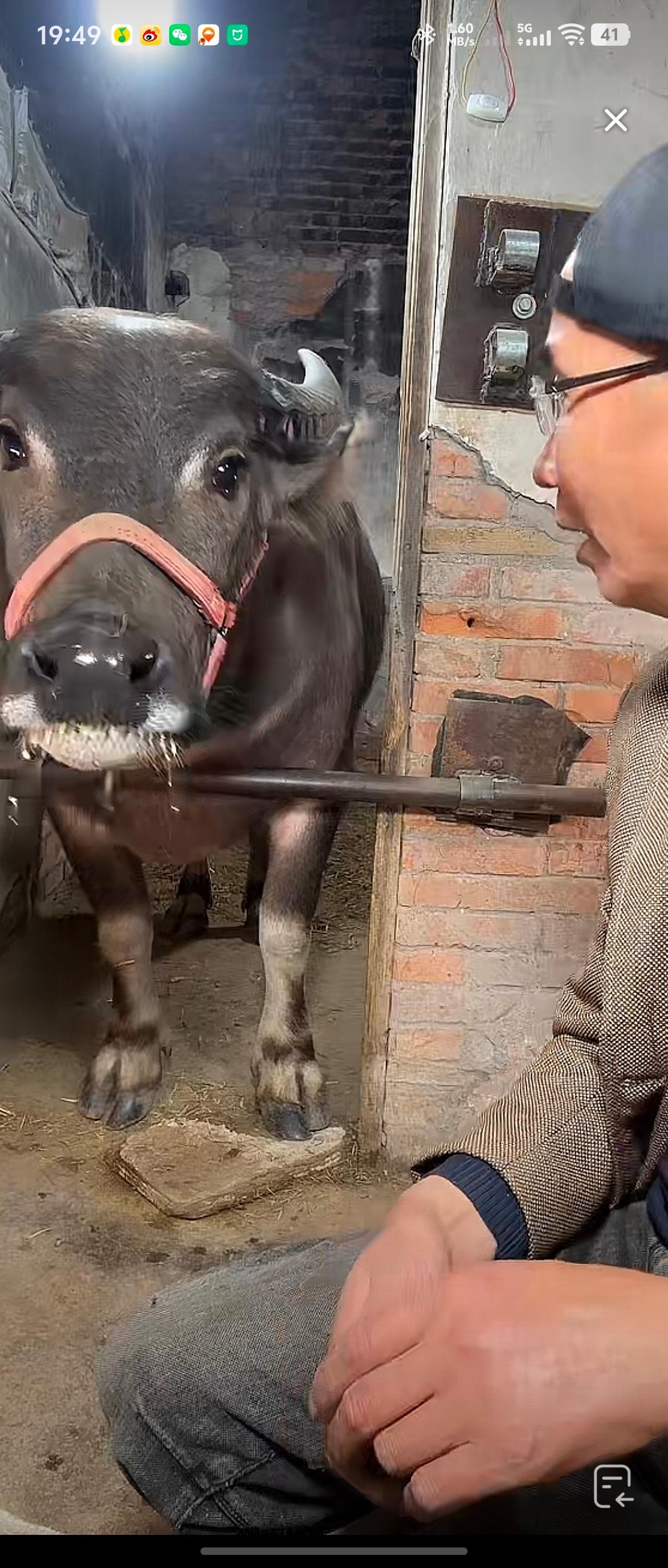 不愧是曾经那个把冰糖当🧊du卖的男人，直播间人气那么高