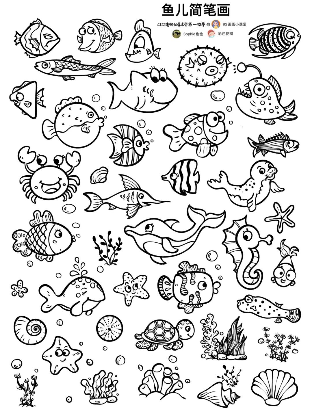 我的兴趣不小众｜鱼儿🐟游游简笔画9