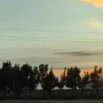 山鸟与鱼不同路，从此山水不相逢……电影总是太仁慈，让破镜重圆，让走失的人再相遇。
