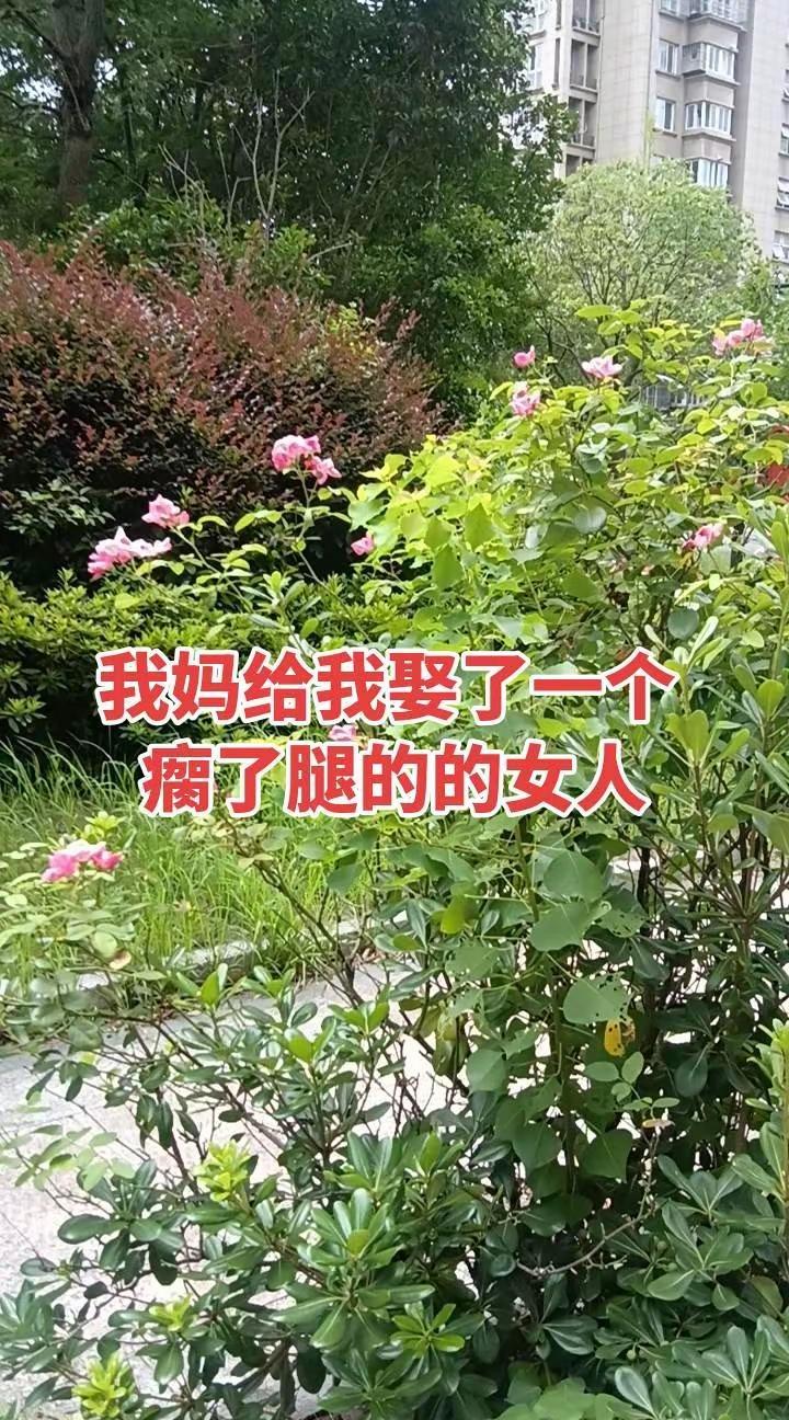 辽宁客场不敌新疆男篮遭四连败郭艾伦18分钟高效砍下19分三篮板2助攻！法拉利在姥