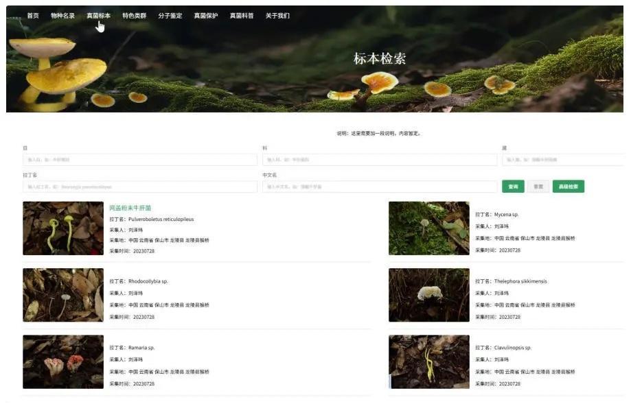 【科学家帮你鉴定毒蘑菇！能救命的免费数据库】又到了野生食用菌采摘时节。云南是全球
