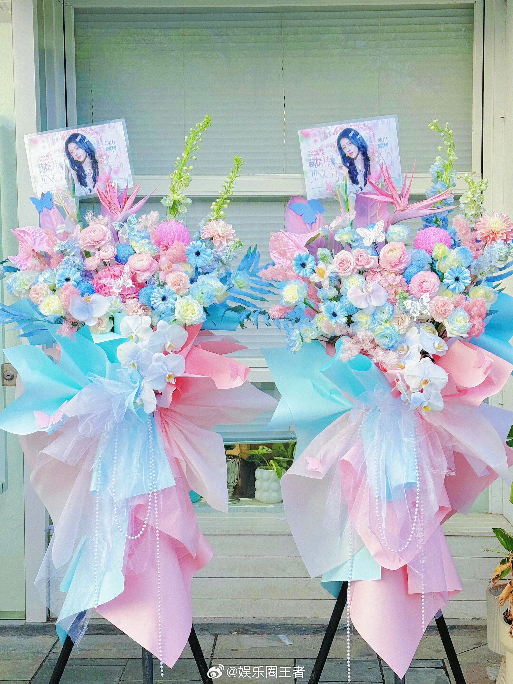 橘丝送给鞠婧祎的应援花特别美 