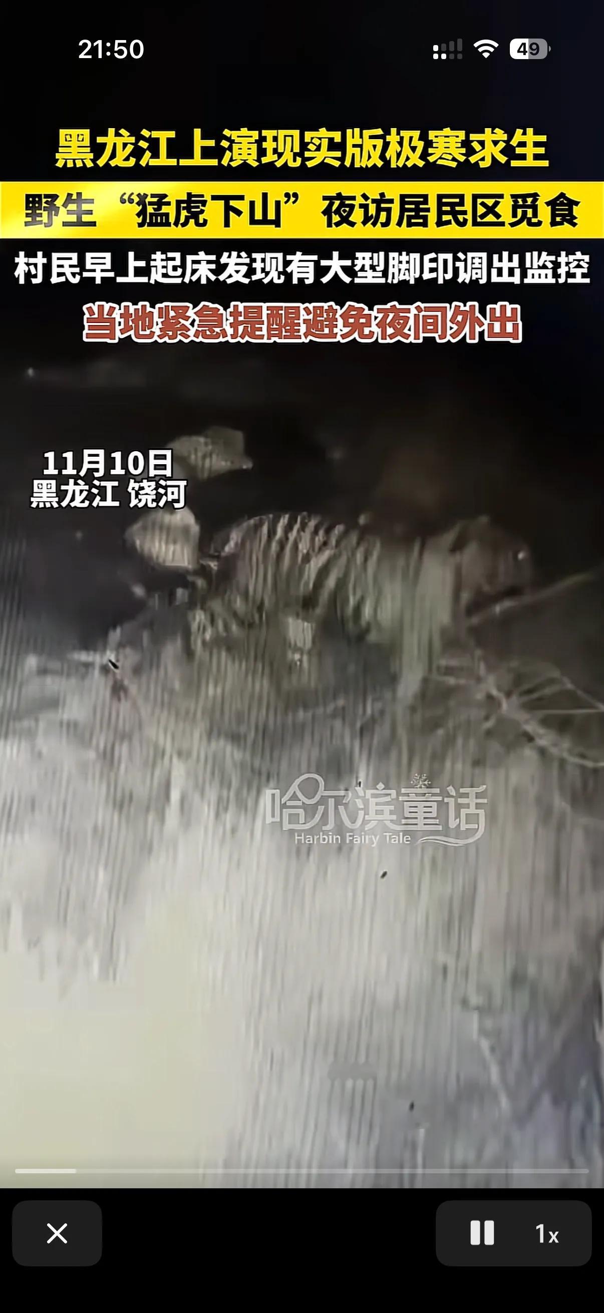 随着最近爆火的荒野求生有越来越多的人呢关注这个项目，有人就提议要在东北举办荒野求