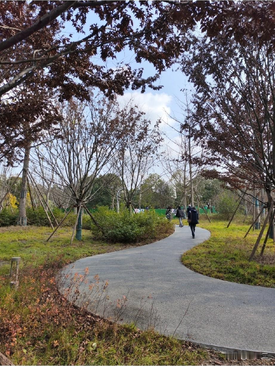 《若我有天消失不见》
 
成年人的世界，
一边假装坚强，
一边悄悄脆弱。

若有