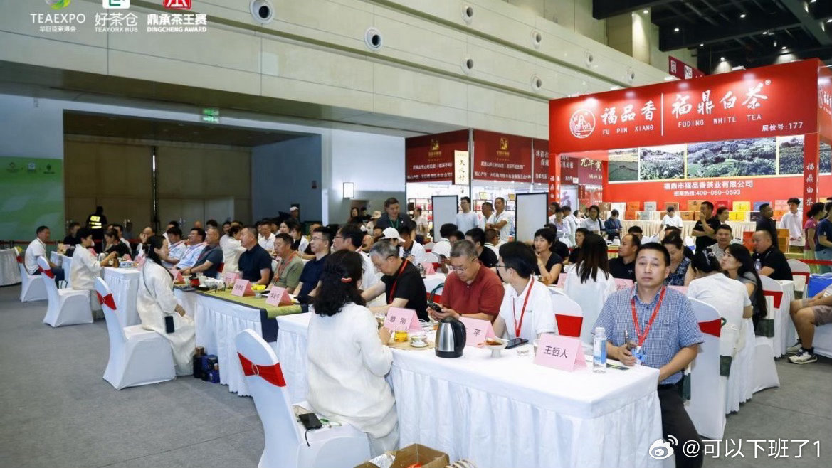 台州的共富茶香飘中原获茶客好评天台云雾茶郑州专场推介会启幕，15家茶企组团拓北方