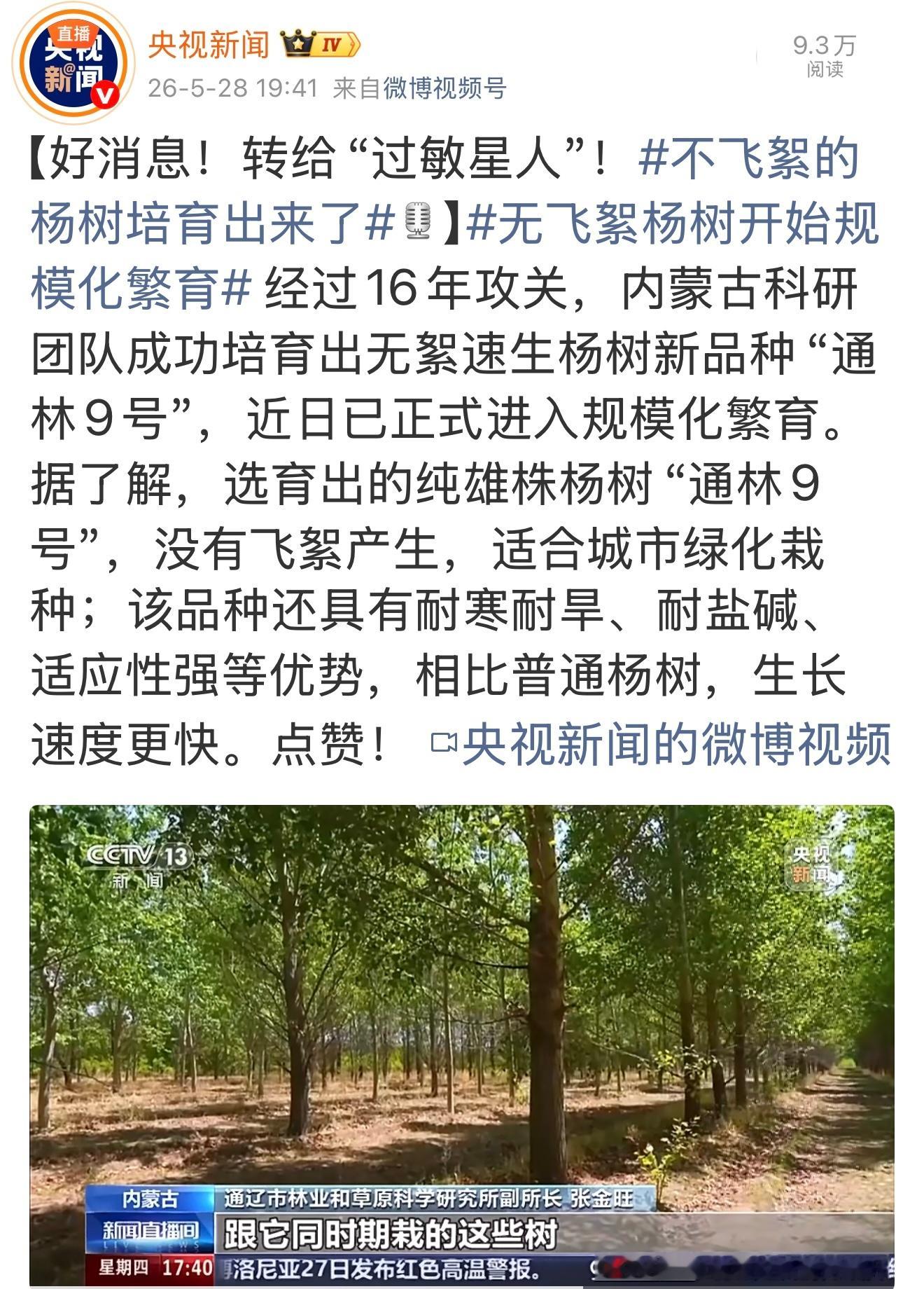 这是一个好消息。往年一到春季，杨树毛毛就会满天飞。飞进鼻子里刺痒，难受，会不停的