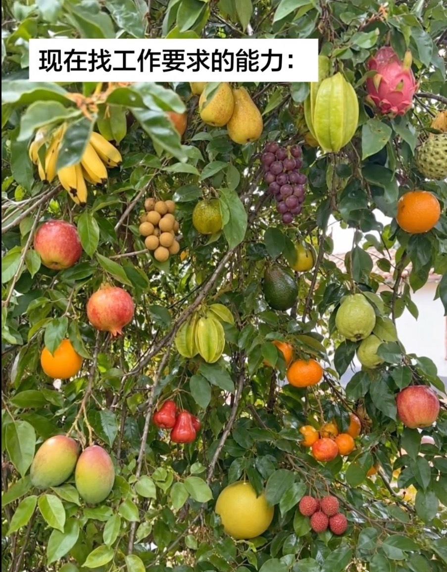 现在找工作要求的能力： ​