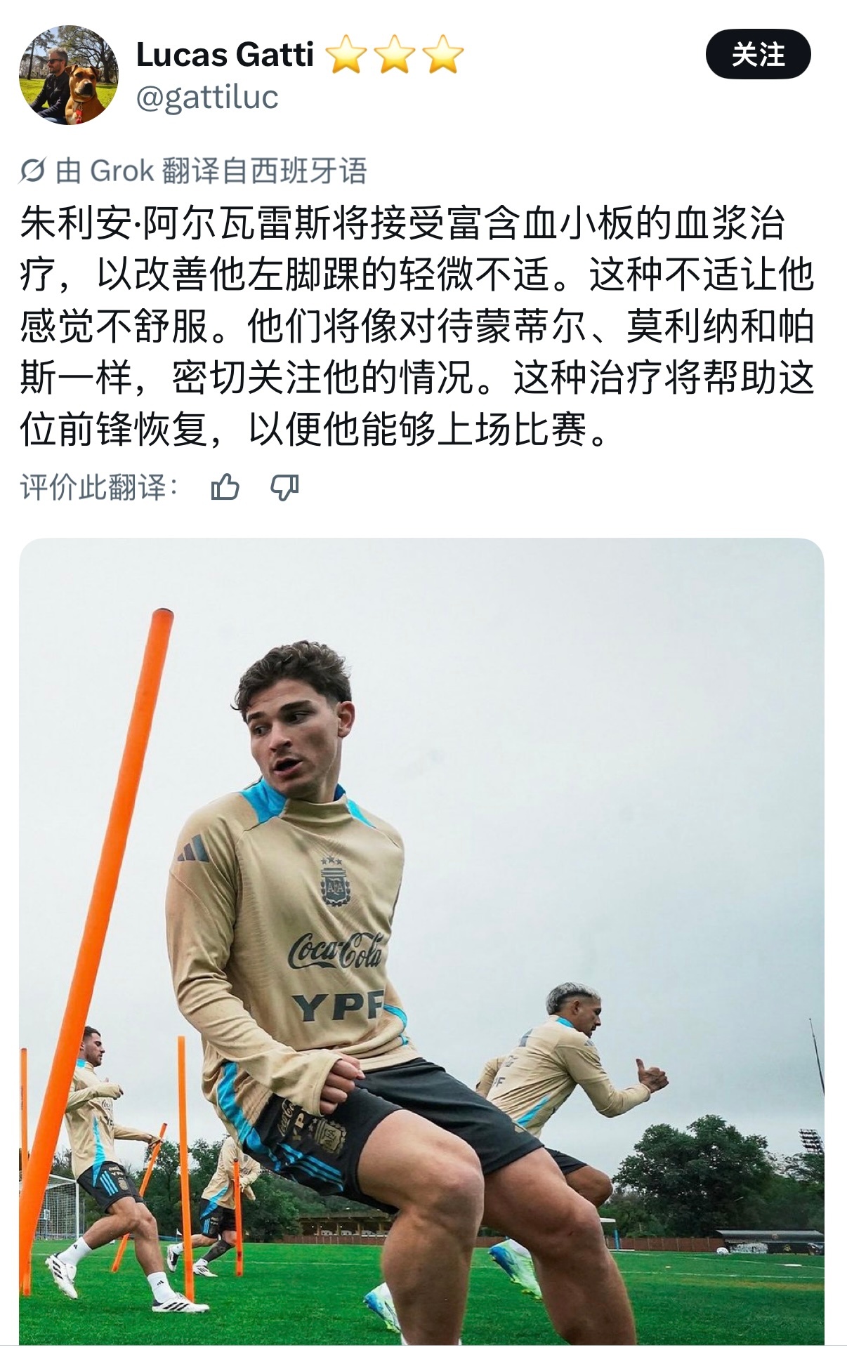 记者Lucas Gatti｜朱利安·阿尔瓦雷斯将接受富血小板血浆（PRP）治疗，