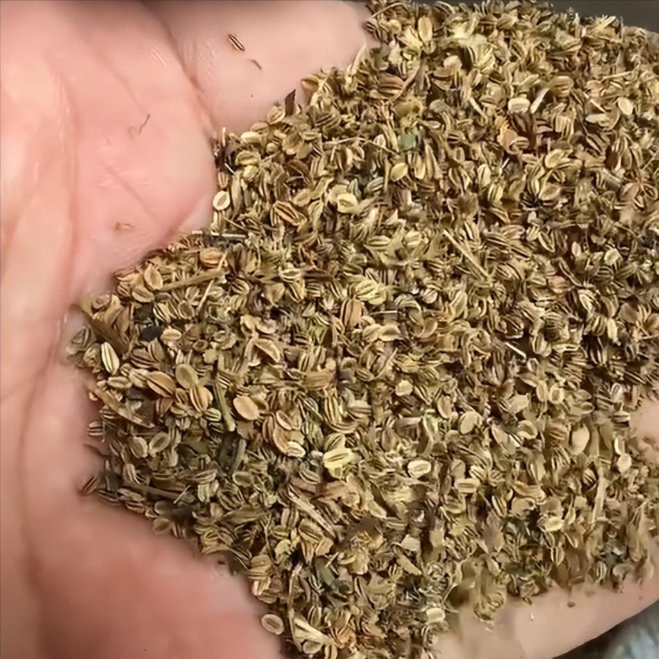 勃起不坚、太敏感 —— 这个方子收藏下来，用了 30 多年不离手，男性健康不在话