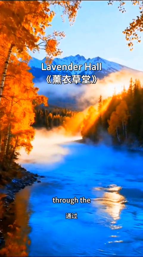 《衣草堂》。
·morning whispers：晨间细语。
·through 