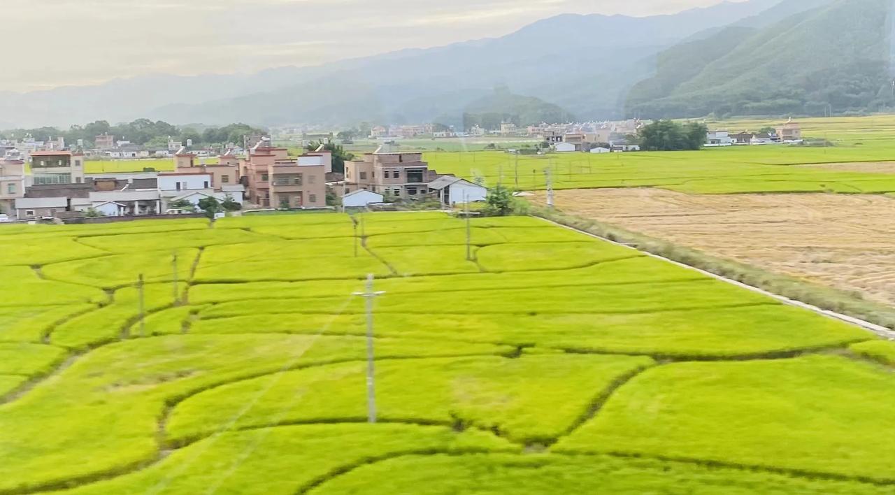 一路风尘伴归心
黄昏洒满山野荫
绿意盈盈农家院
云涛荡漾贺实殷
原创诗词