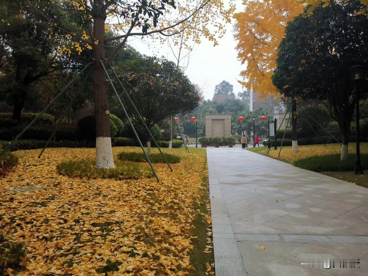 成都我非常喜欢，巴适得板
这个季节来成都
有什么需要注意的