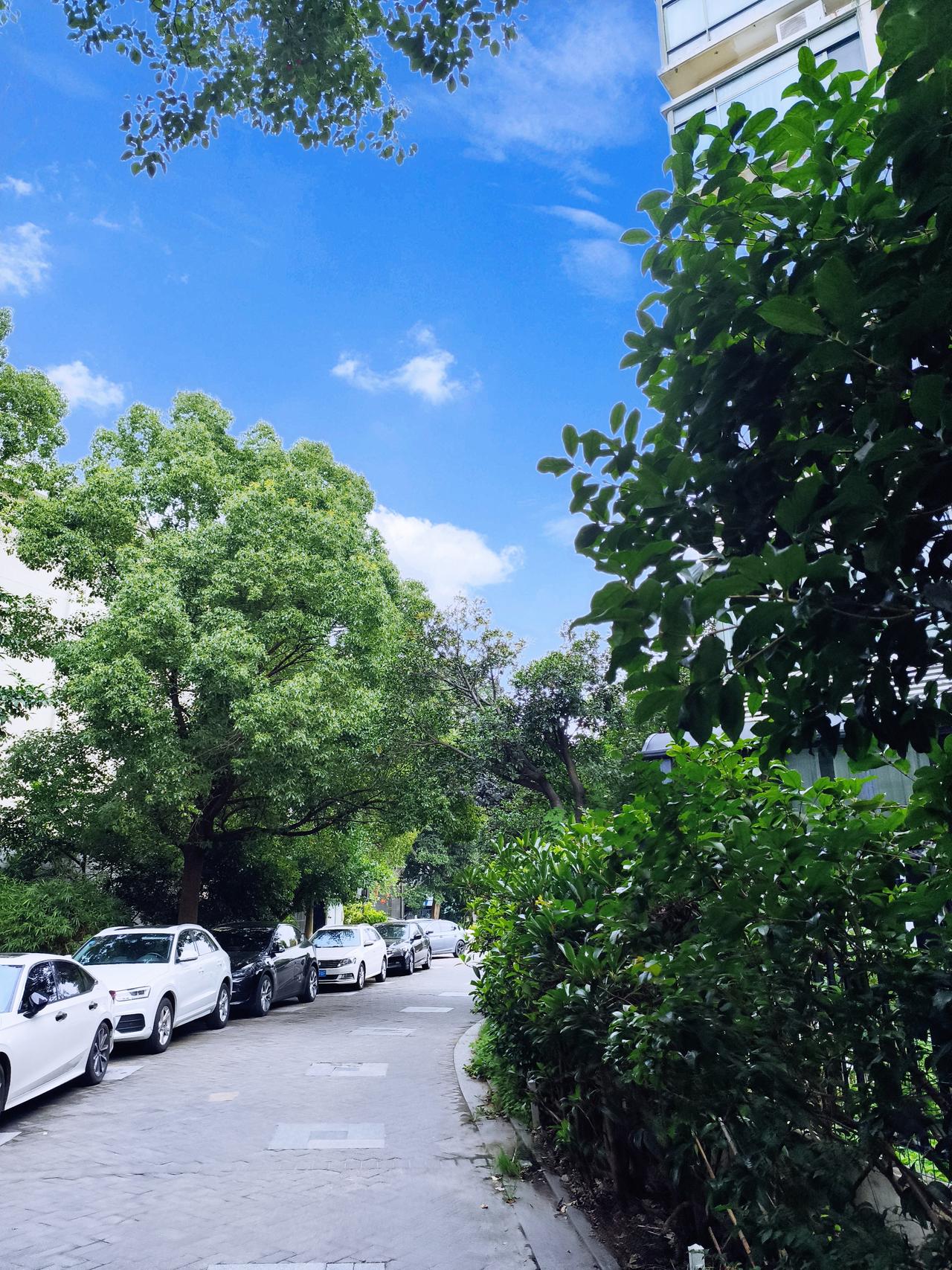 - 淮河以南，是南方城市无疑。中国就俩带“京”的城市，北京在北，南京在南，这区分
