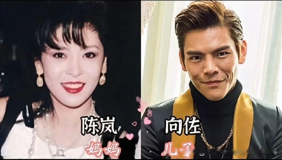  男星和妈妈合照，看看谁和妈妈长得最像
陈岚 & 向佐
陈红 & 陈飞宇
张继玲