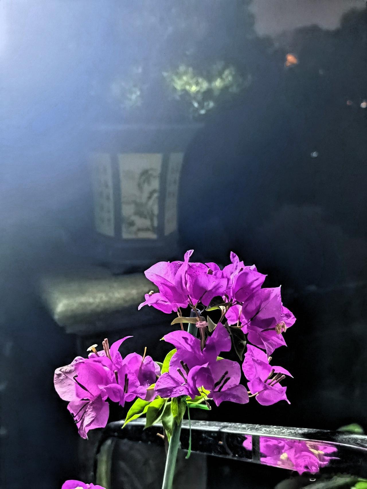 追风赶月，莫负韶华

晨光漫过窗台，九月就这样立在夏末的门槛上，风里已有桂花的讯