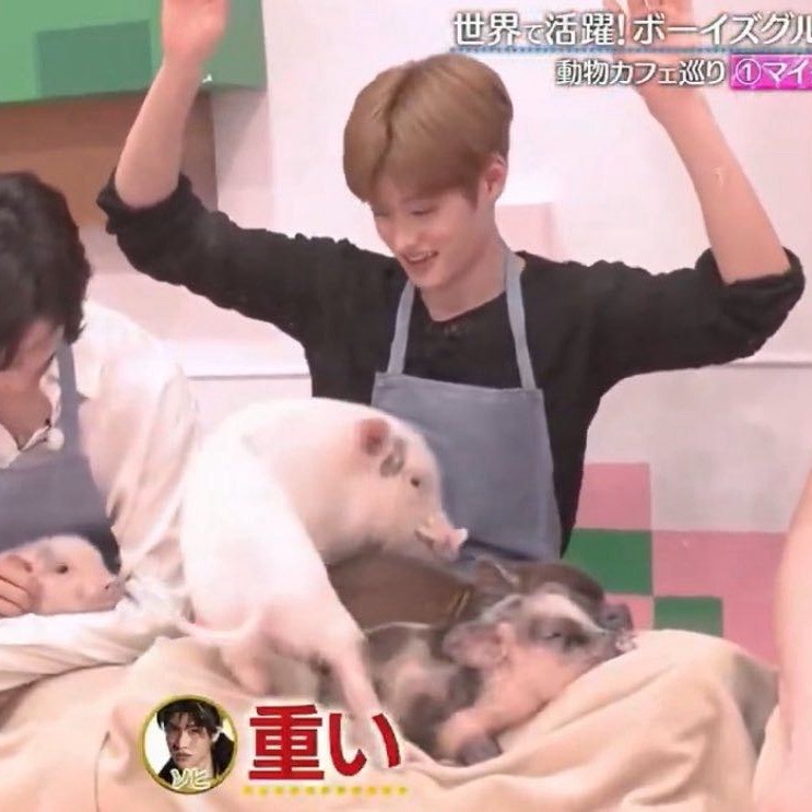 这张尖尖的小虎牙怎么这么可爱