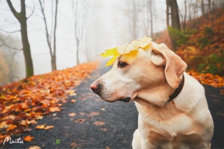 结婚，一定要看看对方父母是什么样的人。亲身经历告诉我，有些父母真的藏的很深，不用