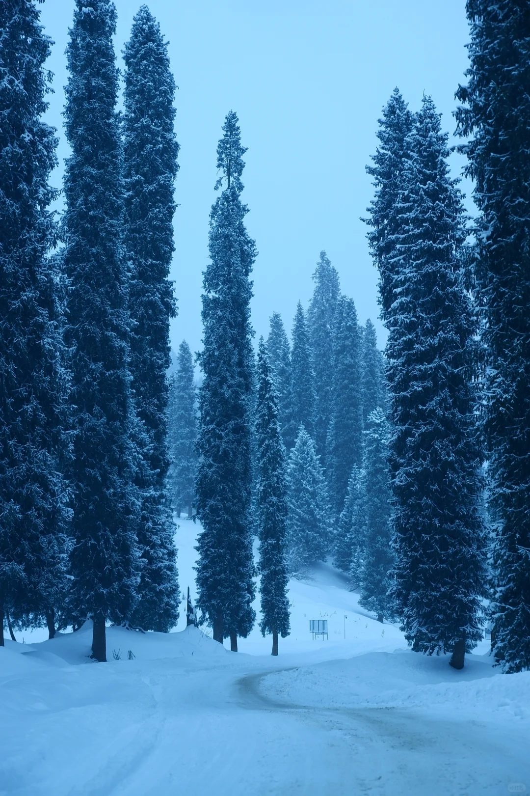 ❄️库尔德宁|是国内冬天最值得来的地方