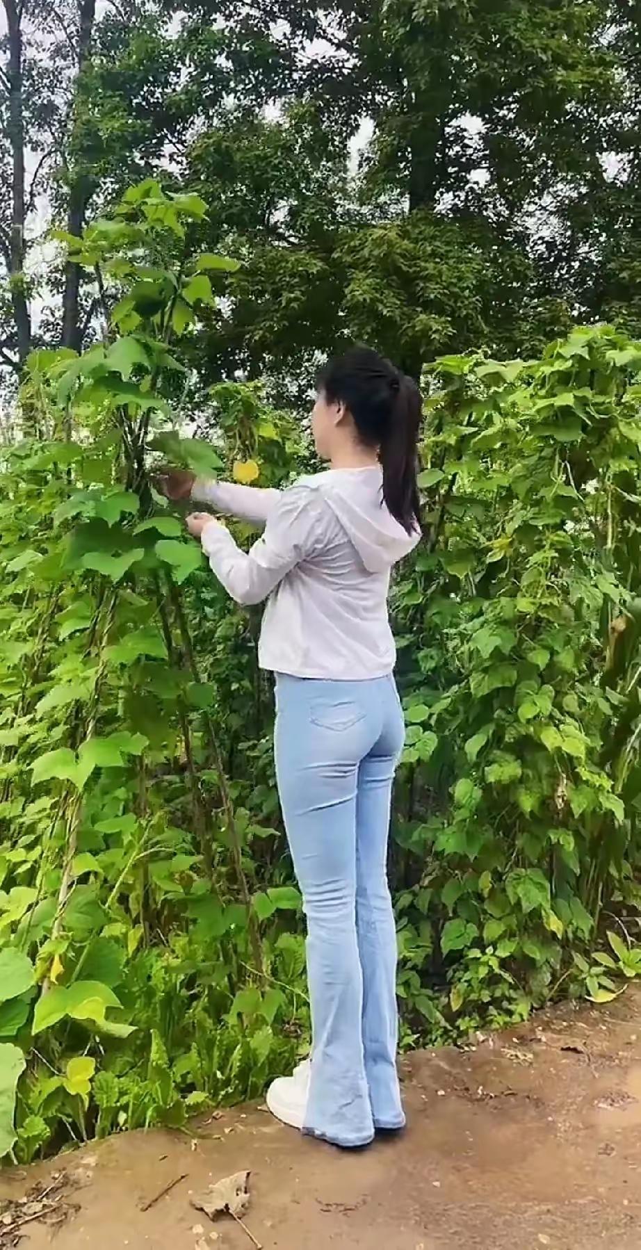 在自然中寻找绿色，感受大自然的美好。