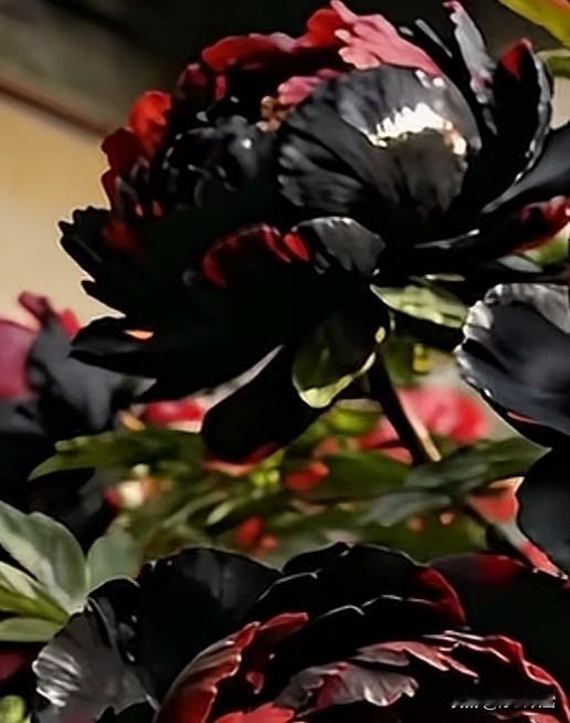 我现在的工作状态是“微退休”，“身在，心不在”，一点活都可能会点燃急躁暴脾气，原