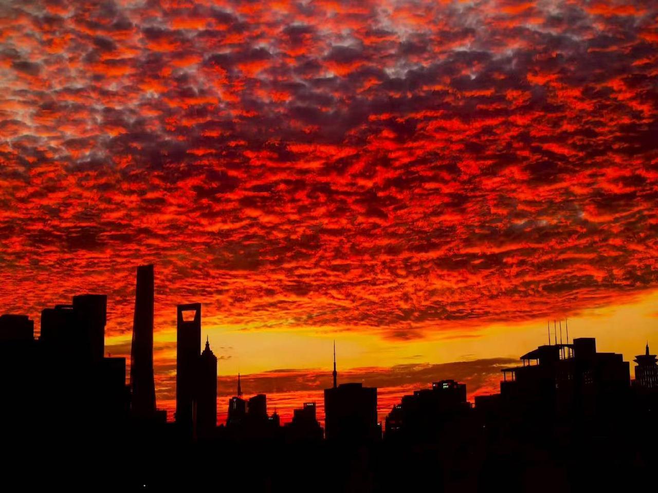 今天上海的晚霞美爆了，半个天空都染红了，早上彩虹傍晚火烧云，魔都难得的浪漫时光。